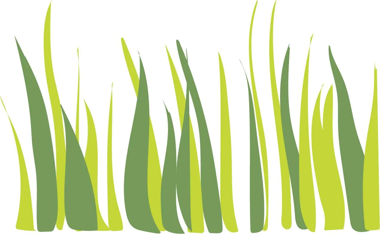 Colorful Grass and Flowers