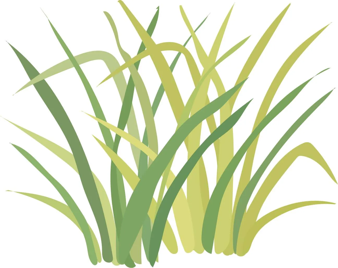 Colorful Grass and Flowers