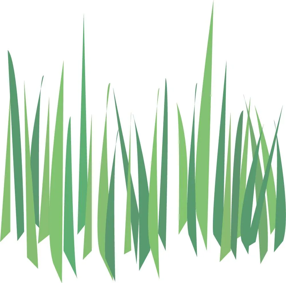 Colorful Grass and Flowers