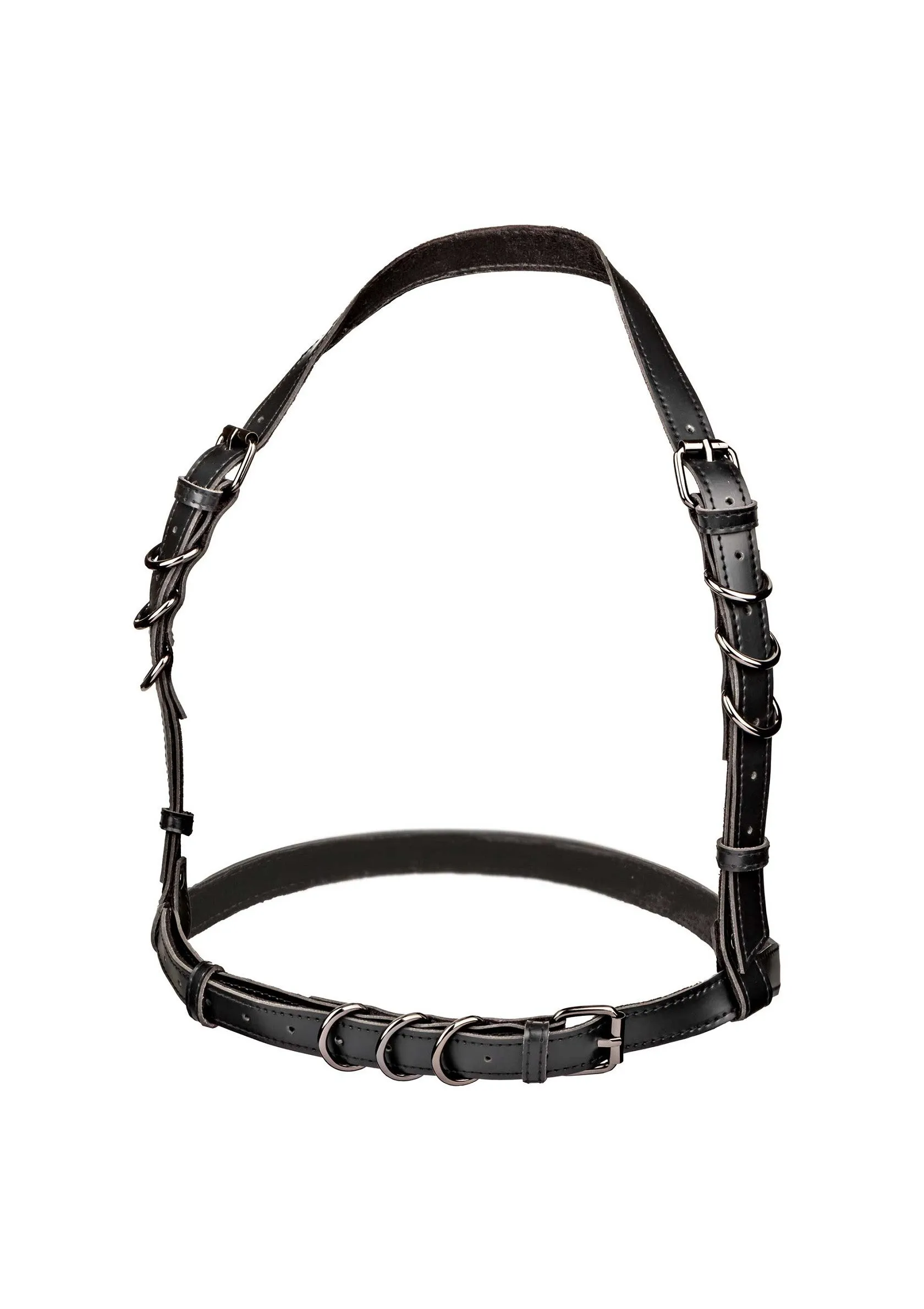 Halter Buckle Harness Plus